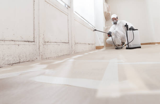 24/7 Emergency Mold Cleanup experts in Upperville, VA