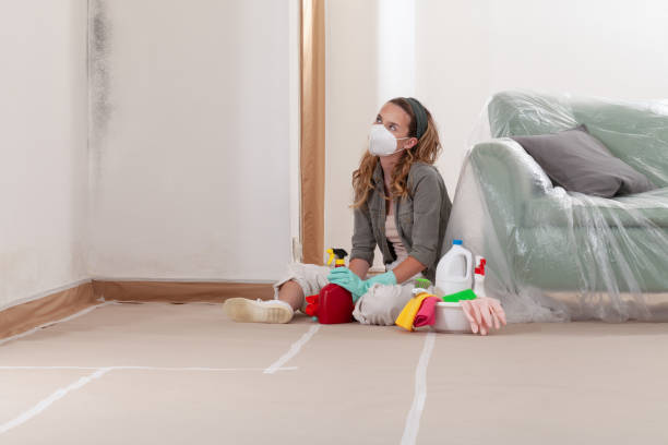 Reliable Mold Cleanup contractor in Upperville, VA by Cheap Mold Removal